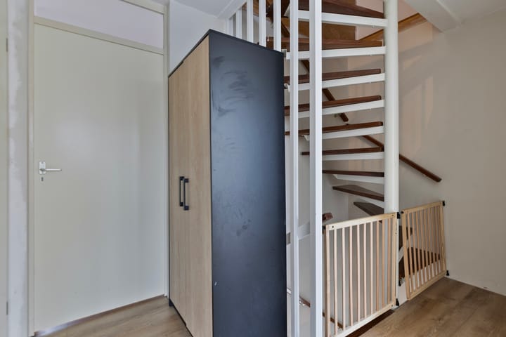 Foto 16 van Zwenkgras 8