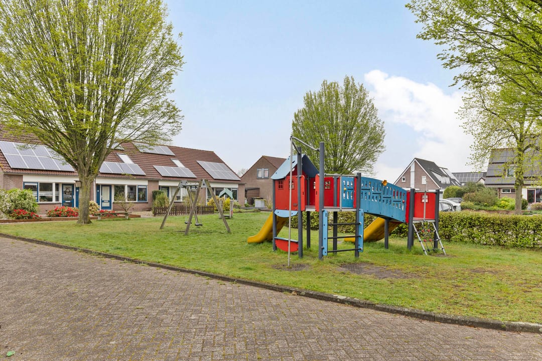 Foto 31 van Zwenkgras 8