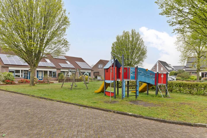 Foto 31 van Zwenkgras 8