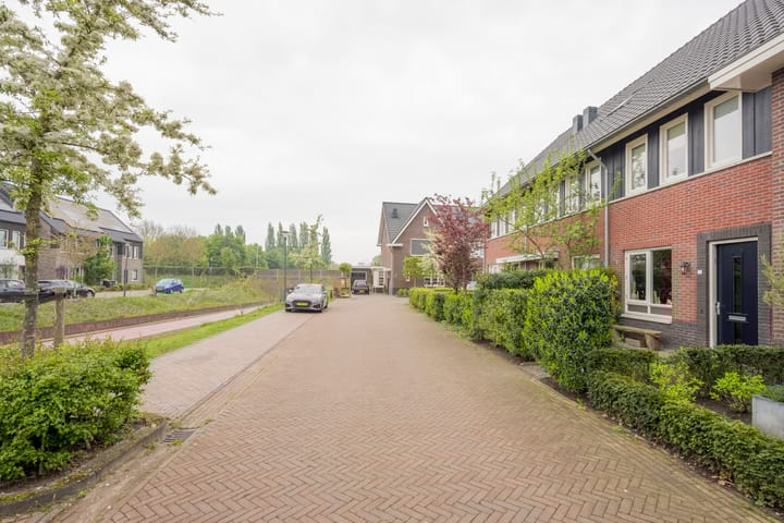 Foto 7 van Amandel 7