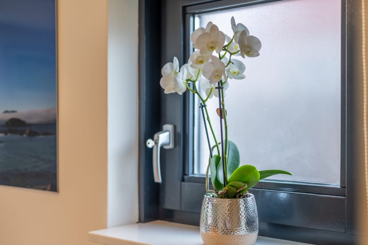 Photo 15 of Akker 41