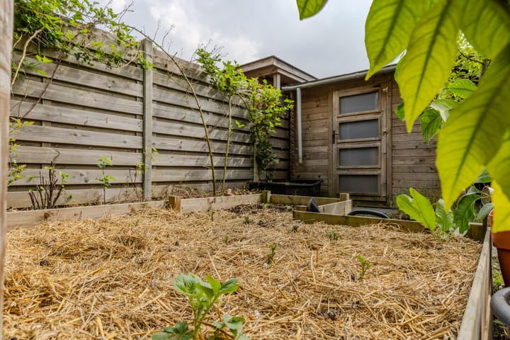 Photo 27 of Akker 41