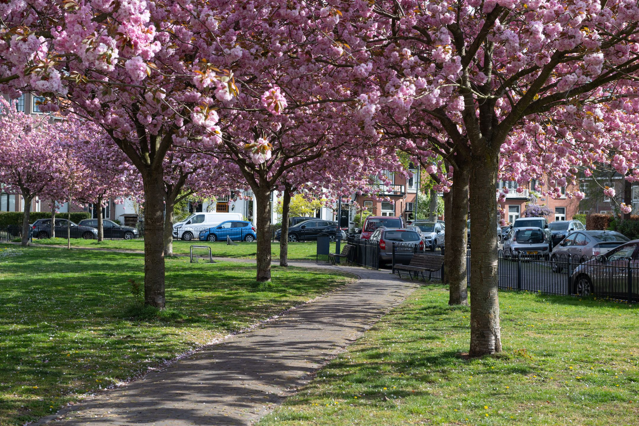 Foto 45 van Zomerluststraat 22