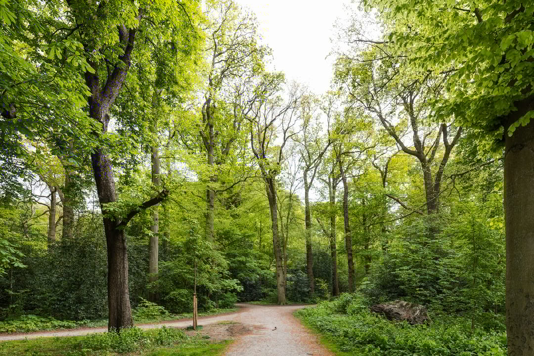 Foto 47 van Zomerluststraat 22