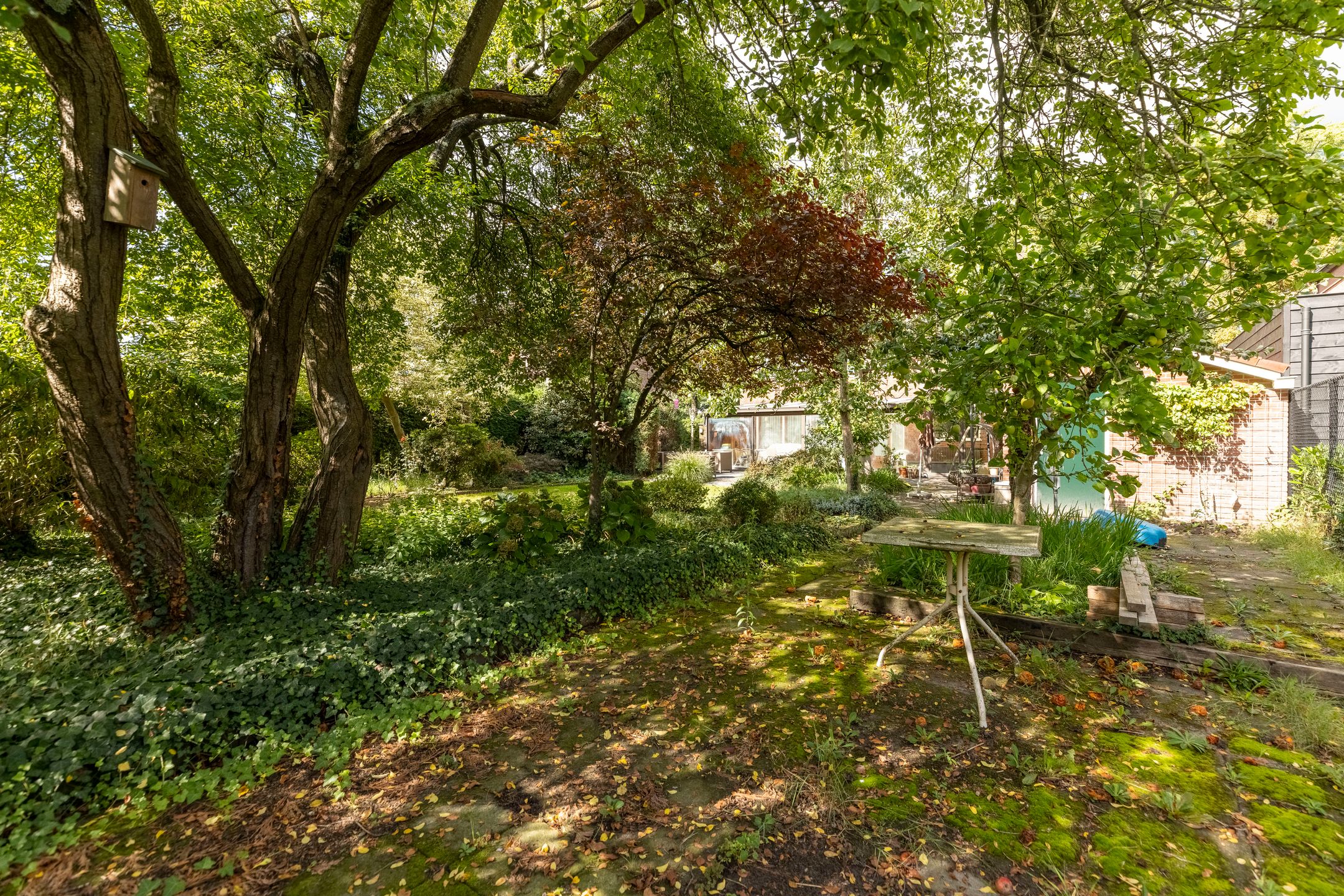 Foto 30 van Burgemeester Manderslaan 50