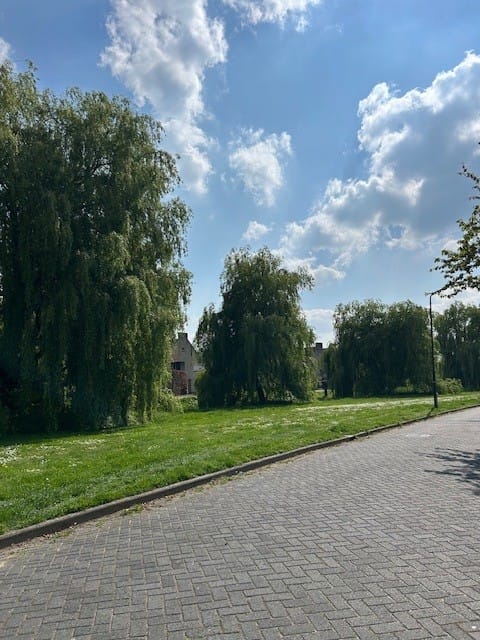 Foto 35 van Visven 414