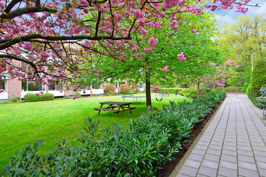 Foto 2 van Keesomstraat 21-B