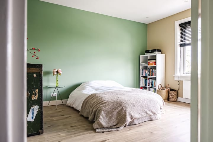 Foto 19 van Leidsevaartweg 145