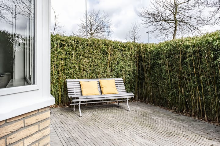 Foto 40 van Leidsevaartweg 145