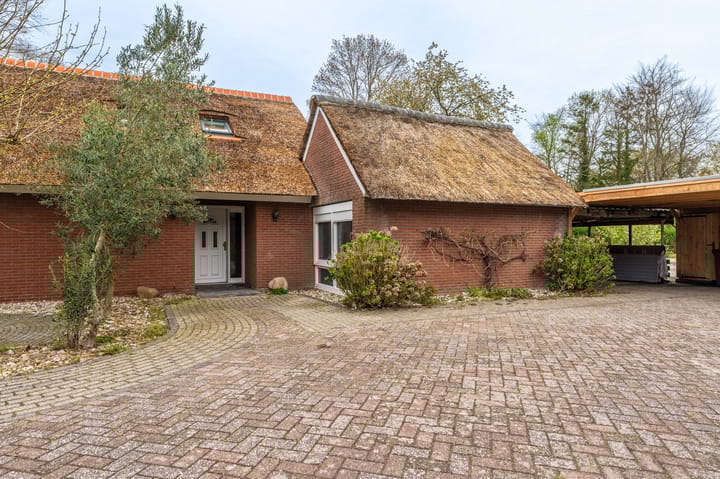 Foto 2 van Nieuwediep 81