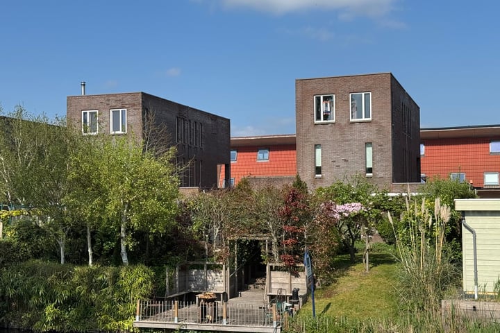 Schelphoek 54