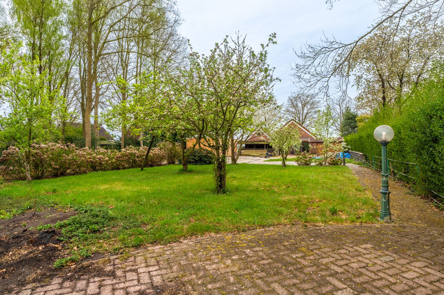 Photo 25 of Nieuwediep 81