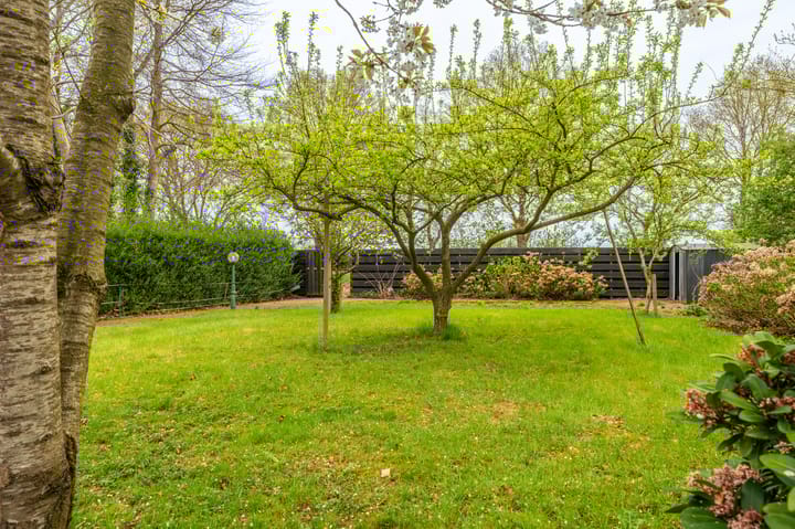 Foto 26 van Nieuwediep 81