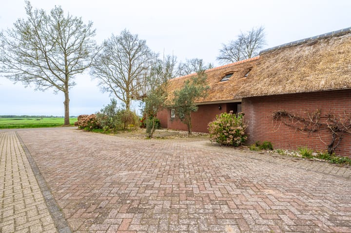 Foto 32 van Nieuwediep 81