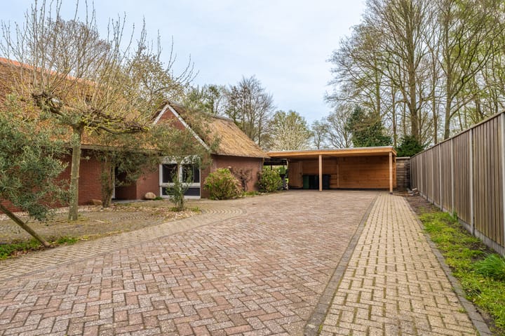 Foto 33 van Nieuwediep 81