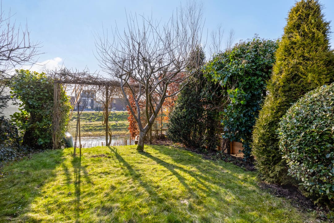 Foto 41 van Schelphoek 54