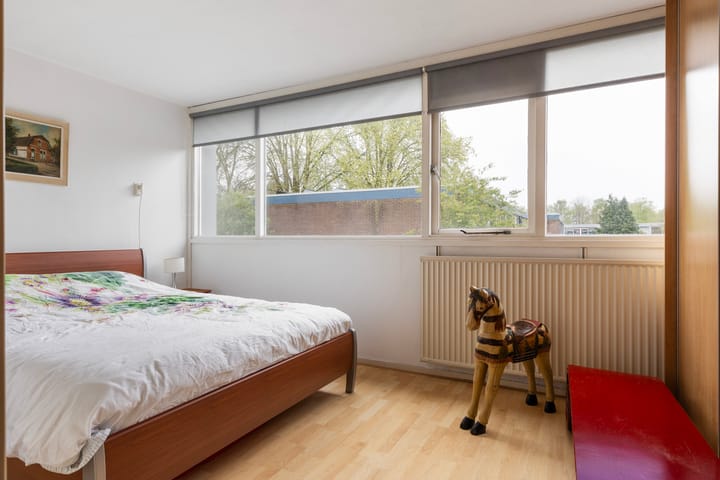 Foto 21 van Schrijnwerkershorst 234