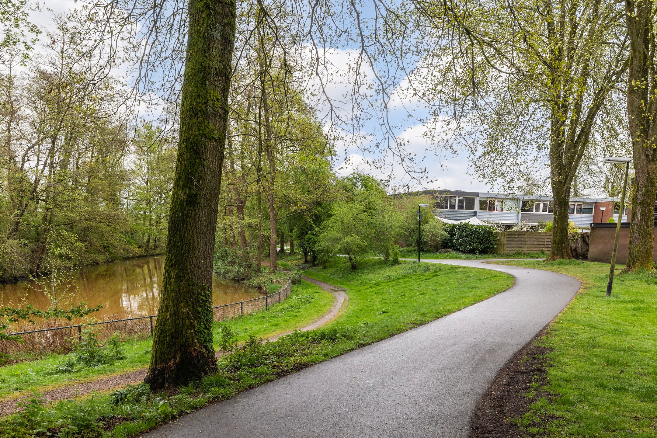 Photo 30 of Schrijnwerkershorst 234