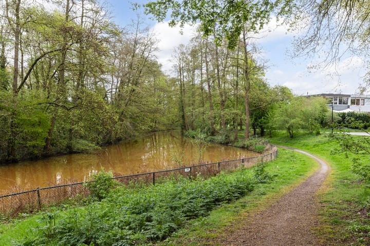 Foto 31 van Schrijnwerkershorst 234