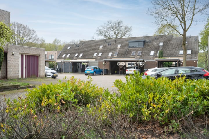 Foto 2 van Steenuil 109