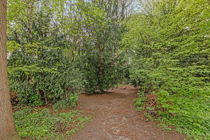 Foto 38 van Eugène Lückerstraat 1