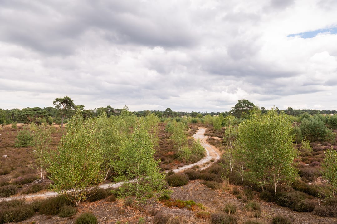 Foto 13 van Harderwijkerweg 445 - Perceel 10