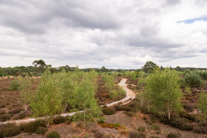 Foto 13 van Harderwijkerweg 445 - Perceel 10