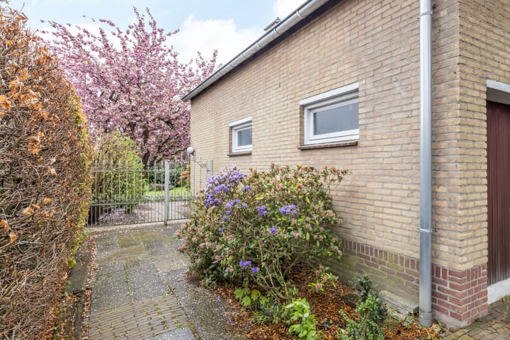 Foto 42 van Burgemeester van de Loostraat 2