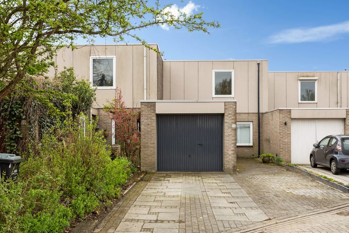 Foto 1 van Holenduif 28