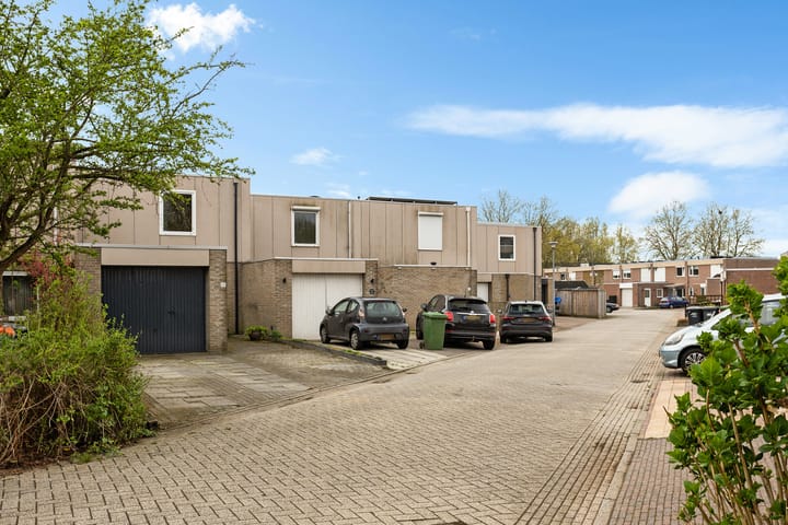 Foto 5 van Holenduif 28