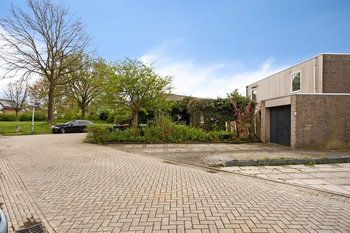 Foto 6 van Holenduif 28