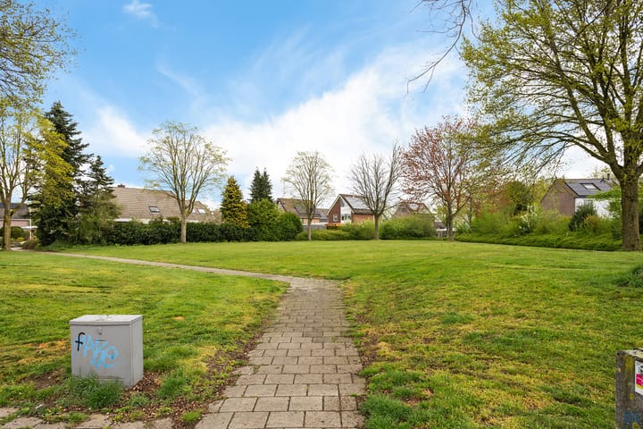 Foto 7 van Holenduif 28