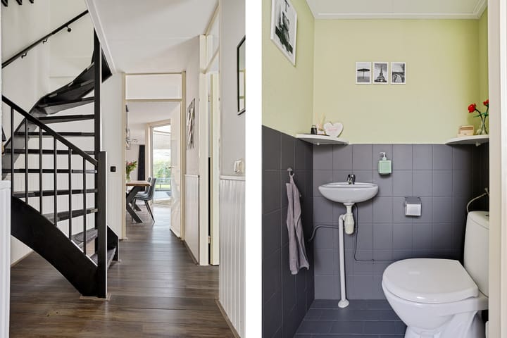 Foto 9 van Holenduif 28