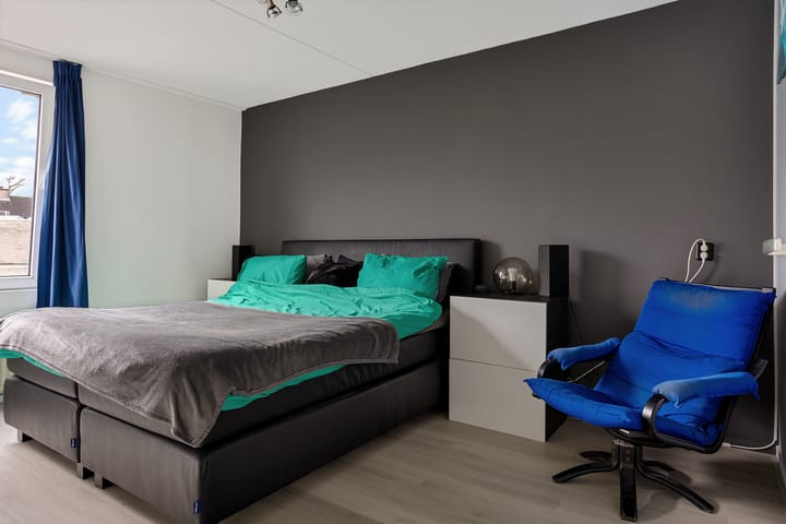 Foto 25 van Holenduif 28