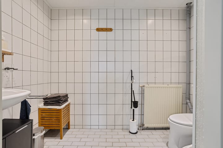 Foto 28 van Holenduif 28