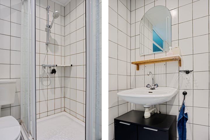 Foto 29 van Holenduif 28