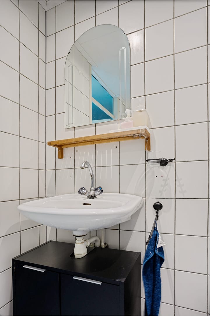 Foto 31 van Holenduif 28