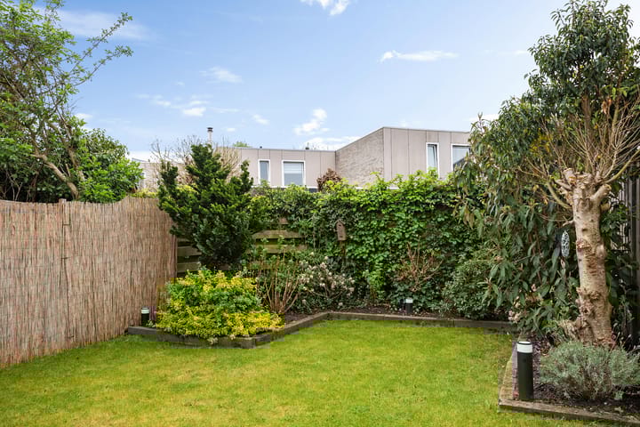 Foto 33 van Holenduif 28