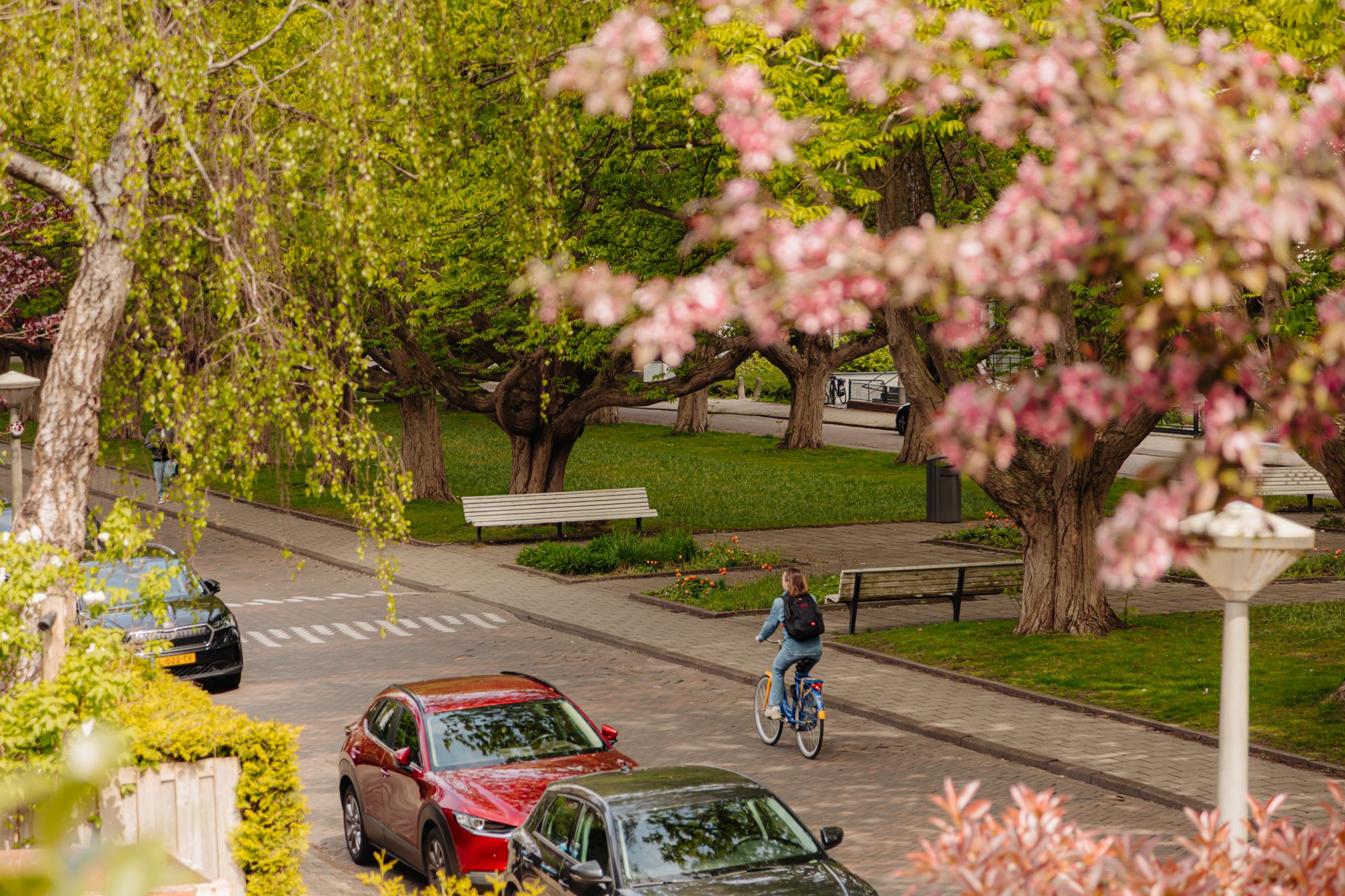 Foto 57 van Minervalaan 116