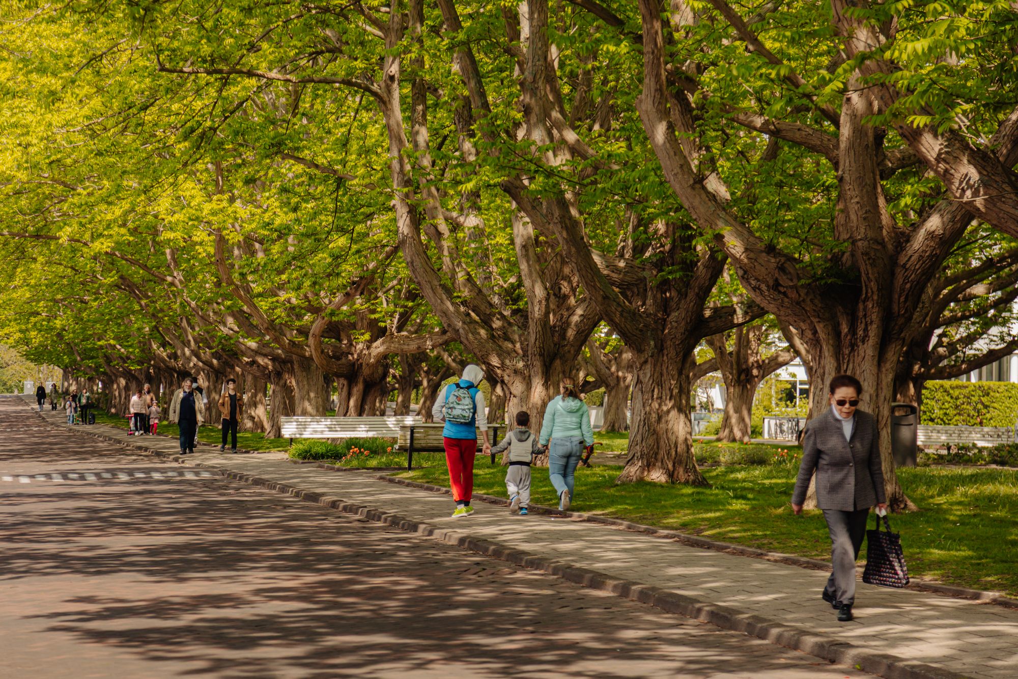 Foto 60 van Minervalaan 116