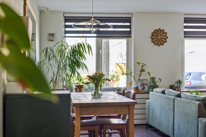 Foto 3 van Ridderspoor 24