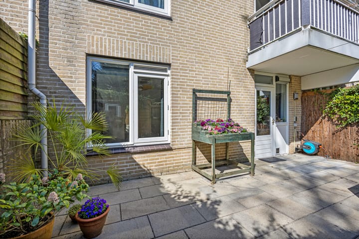 Photo 16 of Ridderspoor 24