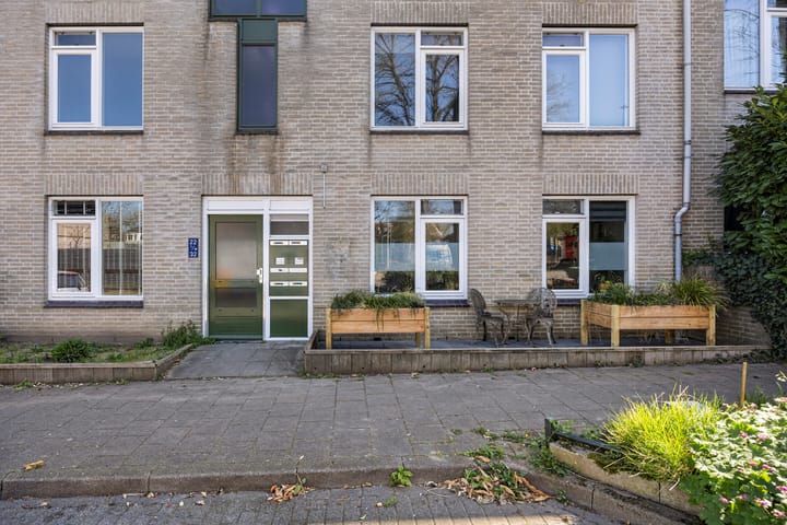 Photo 17 of Ridderspoor 24