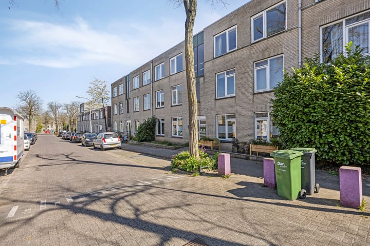 Photo 19 of Ridderspoor 24