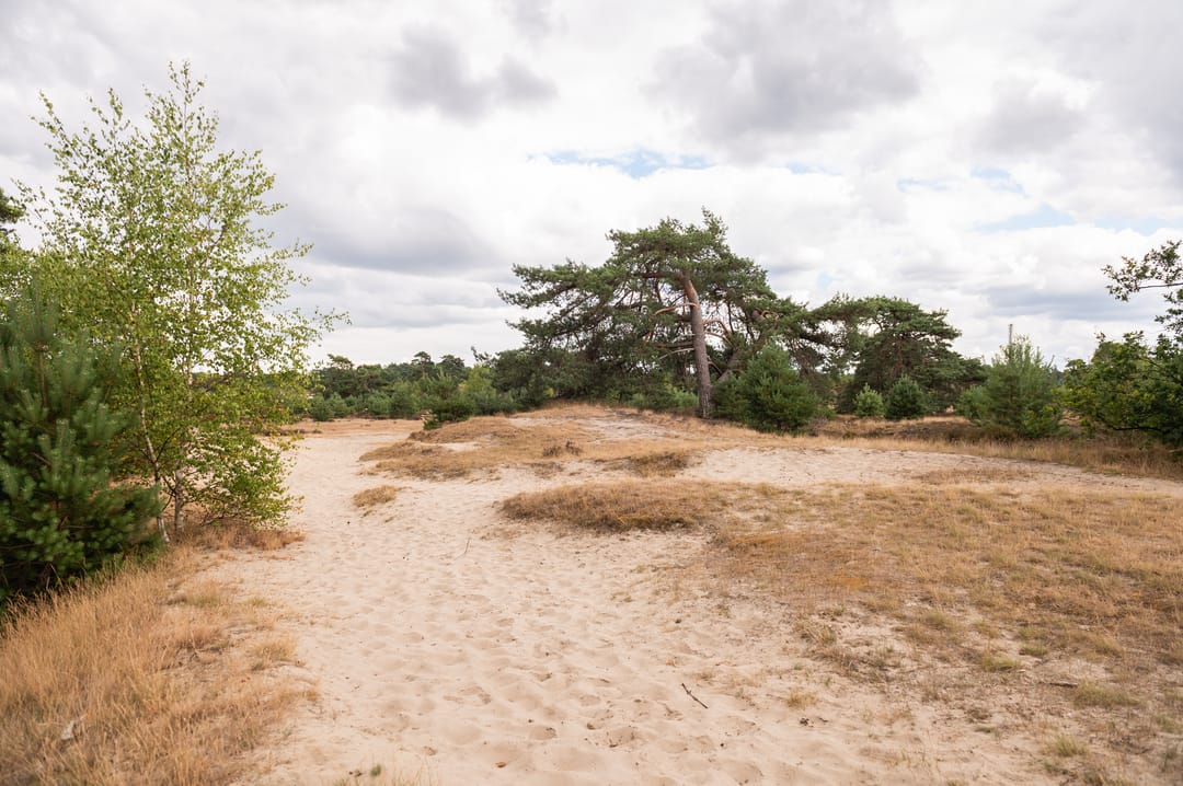 Foto 13 van Harderwijkerweg 445 - Perceel 11