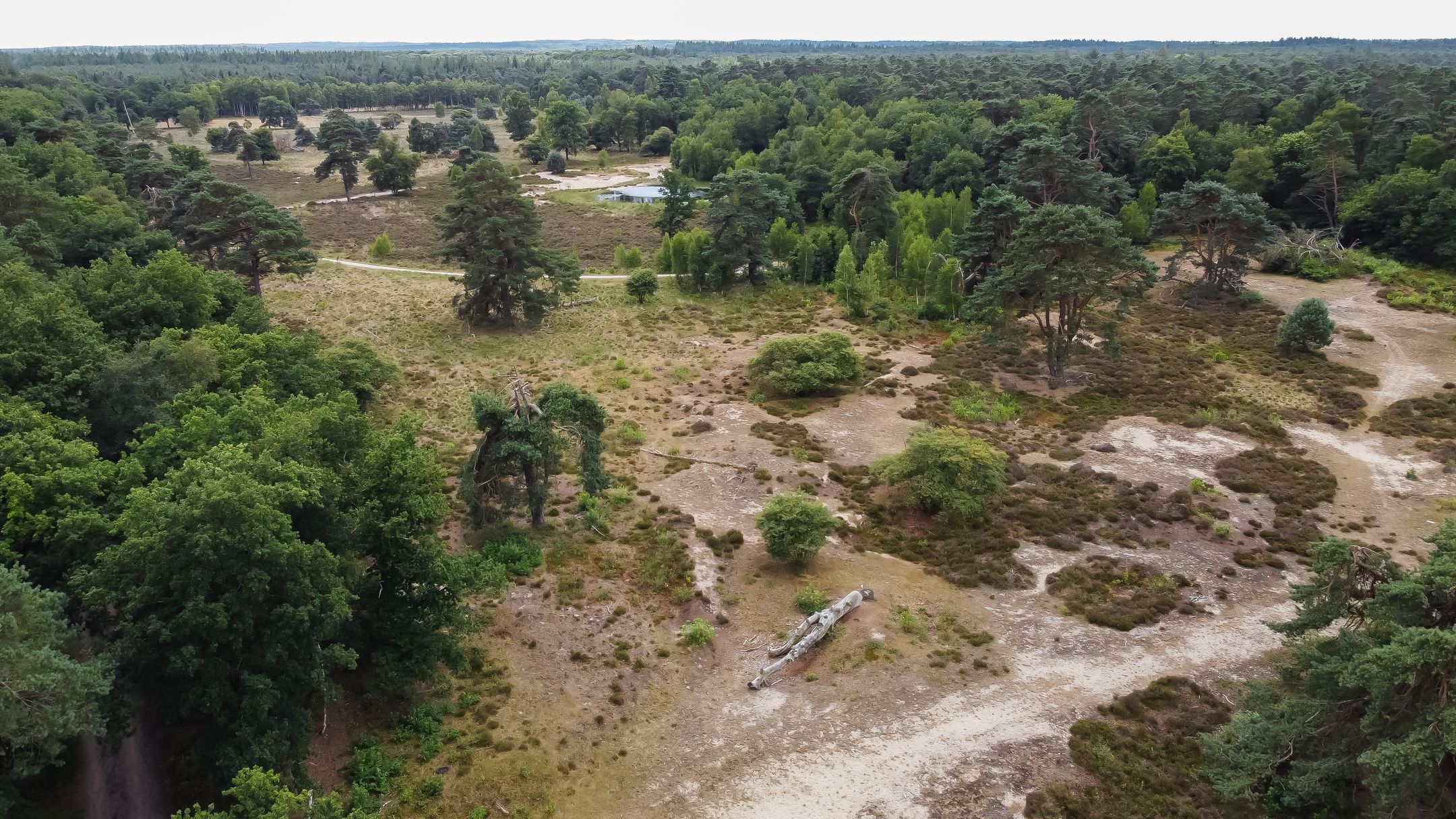 Foto 15 van Harderwijkerweg 445 - Perceel 11