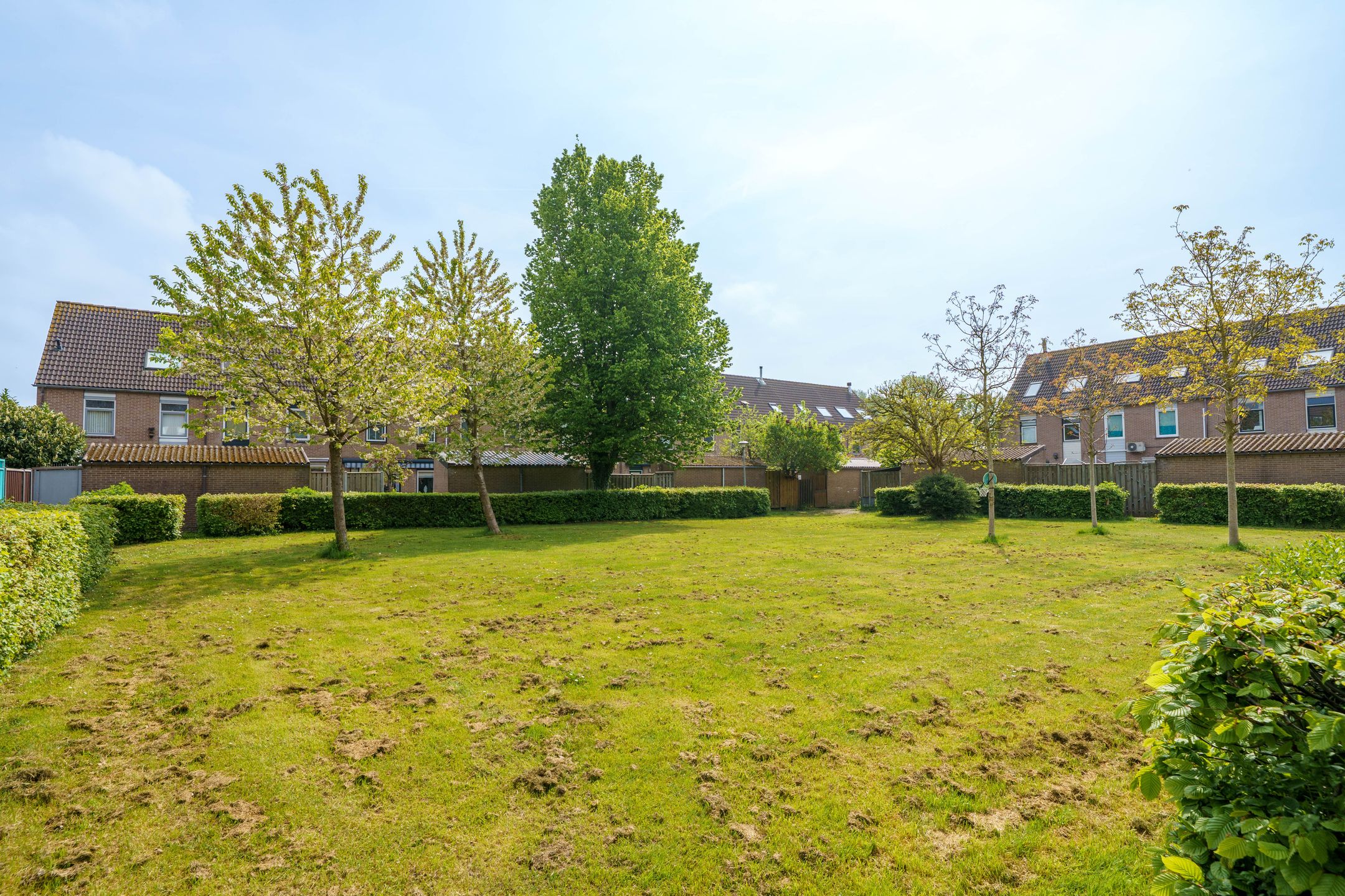 Foto 27 van Dadelklaverstraat 54