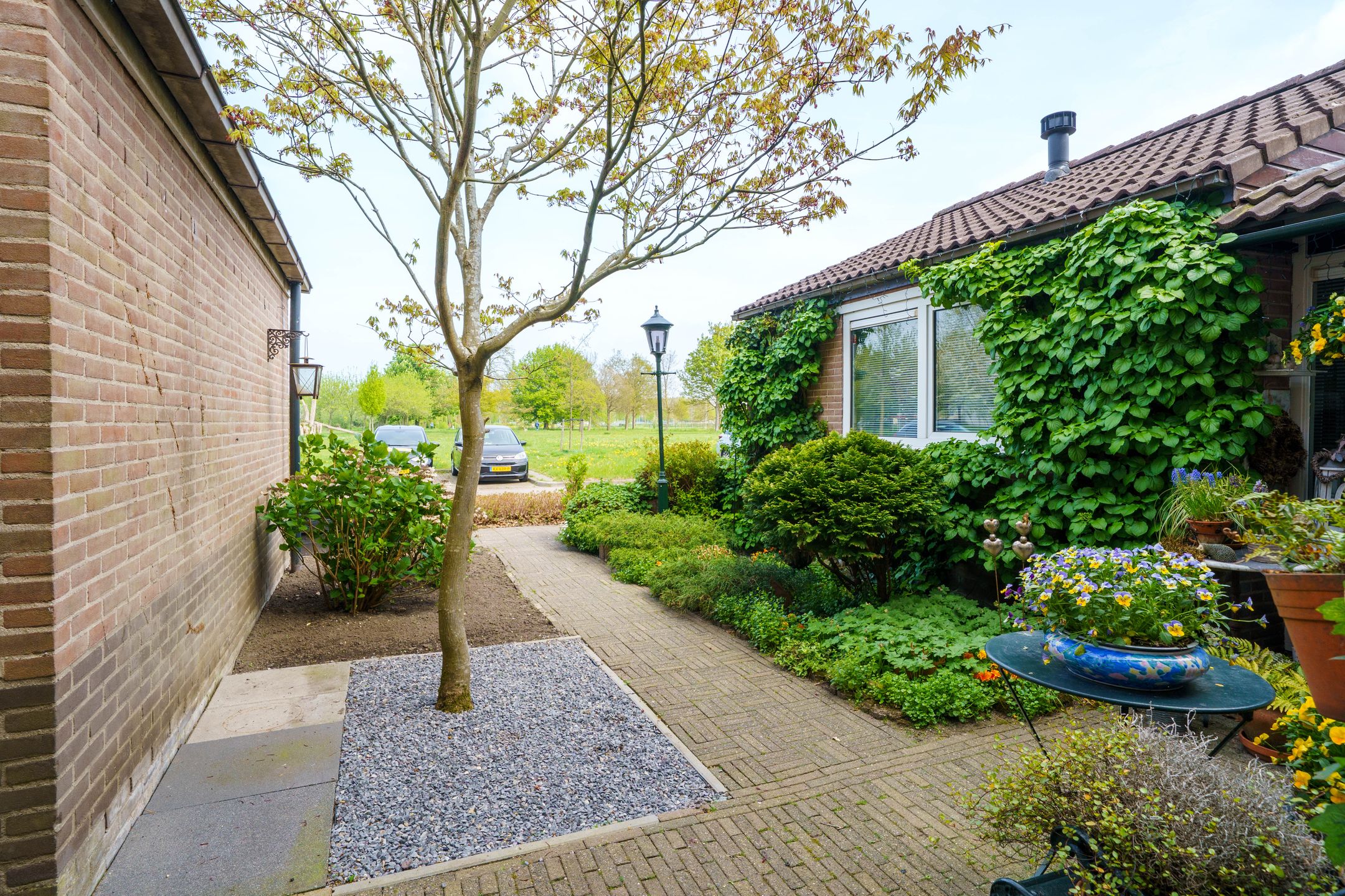 Foto 30 van Dadelklaverstraat 54