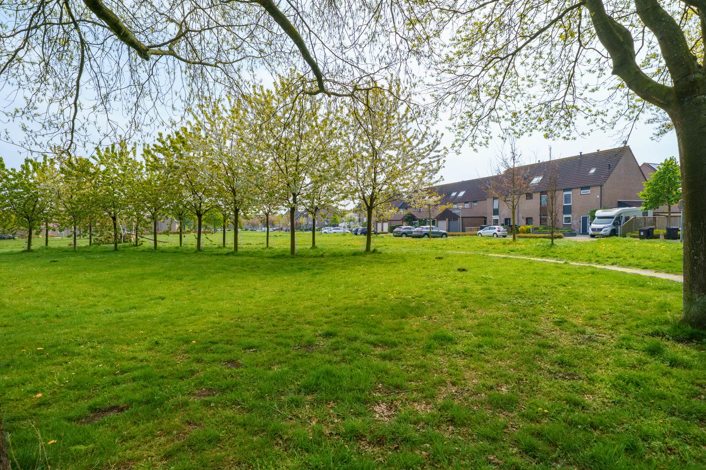 Foto 40 van Dadelklaverstraat 54