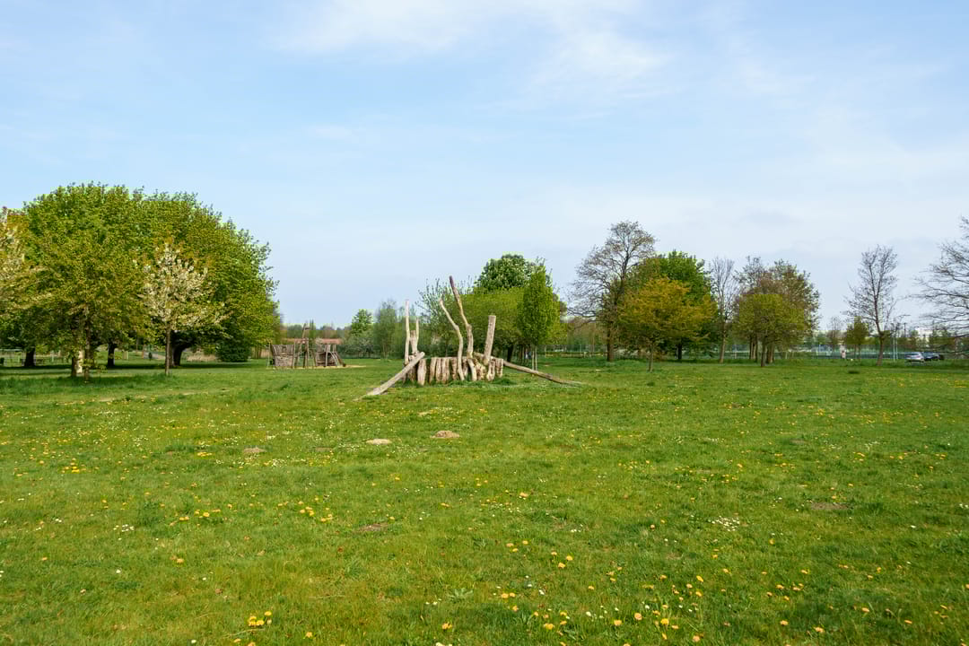 Foto 41 van Dadelklaverstraat 54